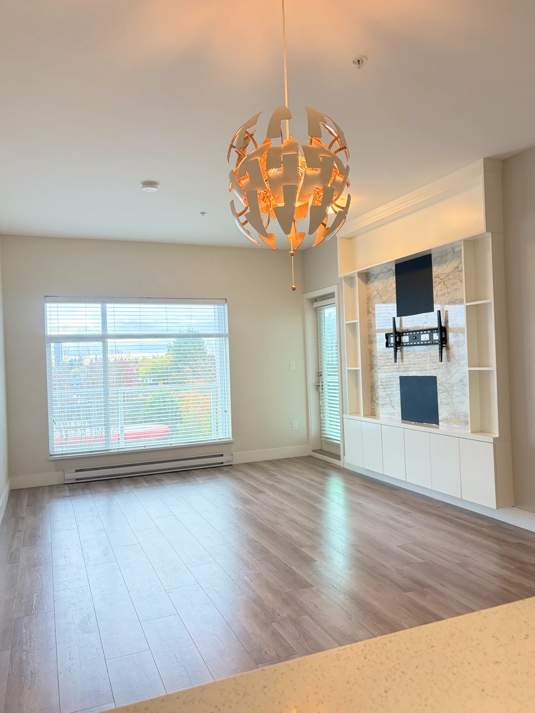 1 Bedroom Condo for Rent - photo 4