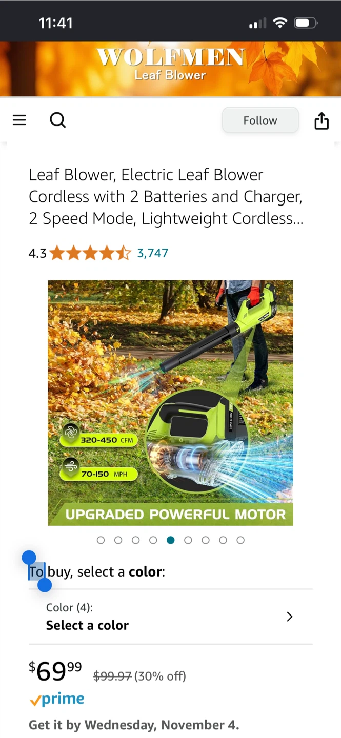 WOLFMEN Cordless Leaf Blower with 2 Batteries