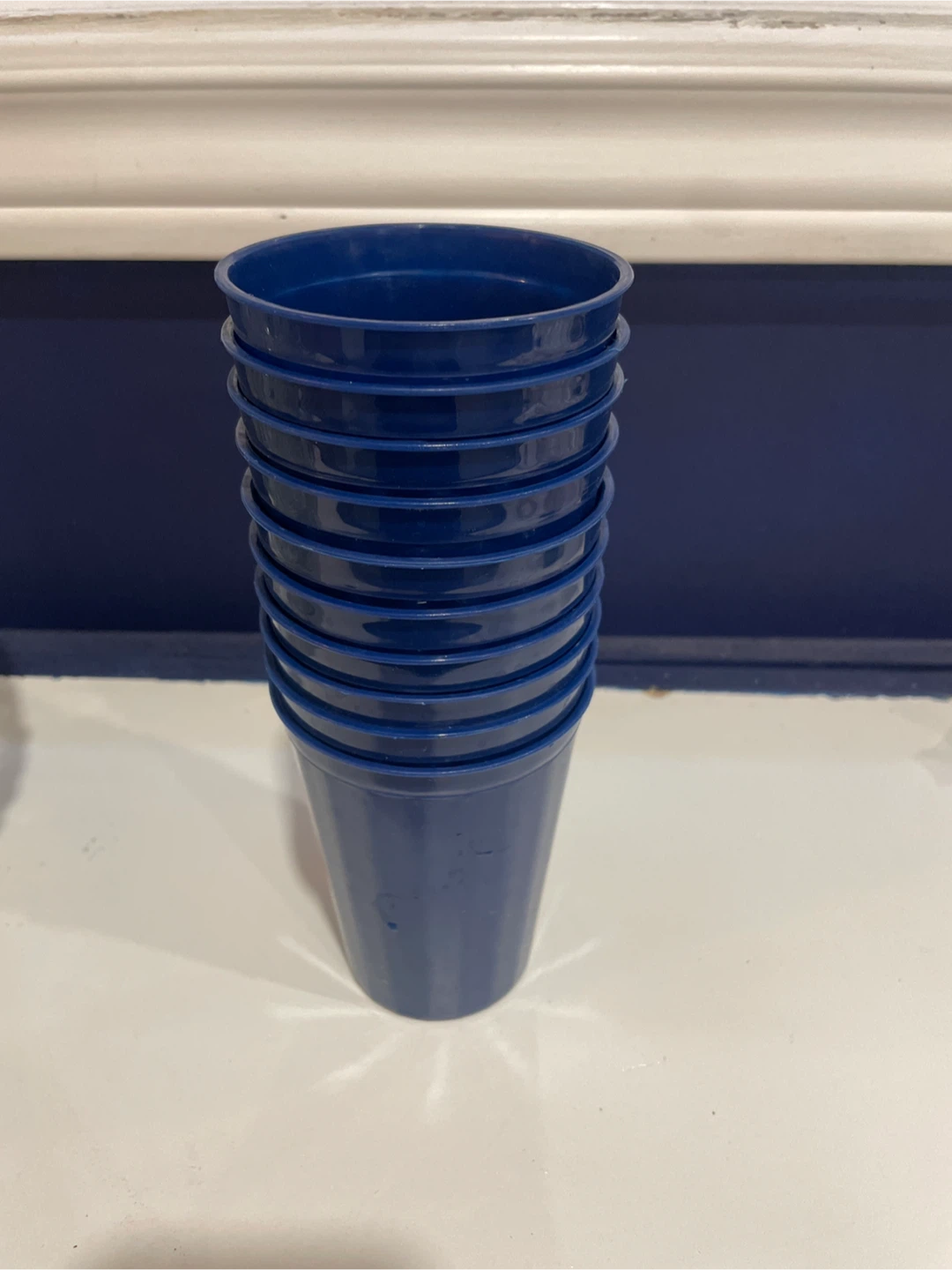 10 plastic cups- sturdy and reusable