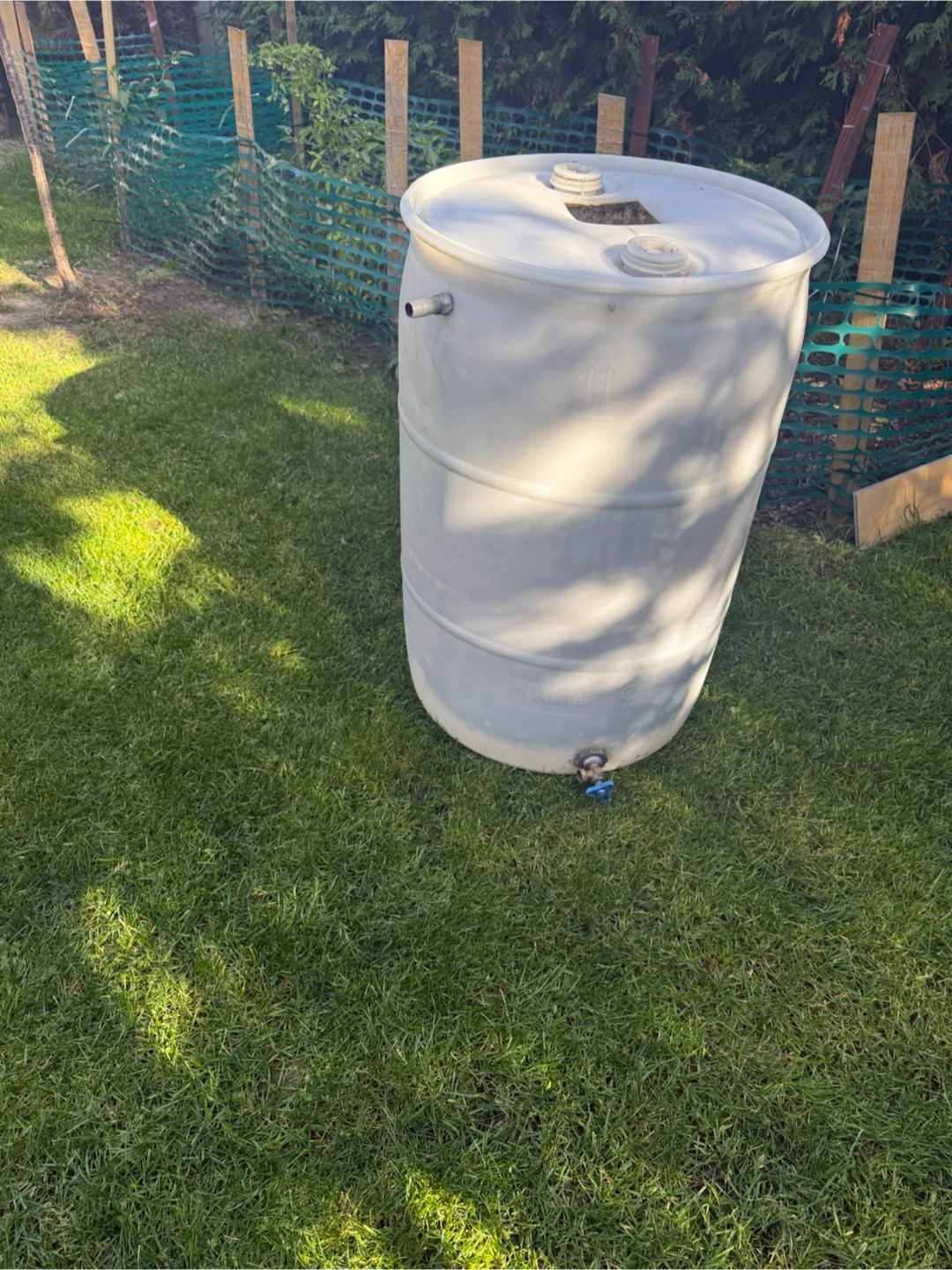 White  Rain Barrel