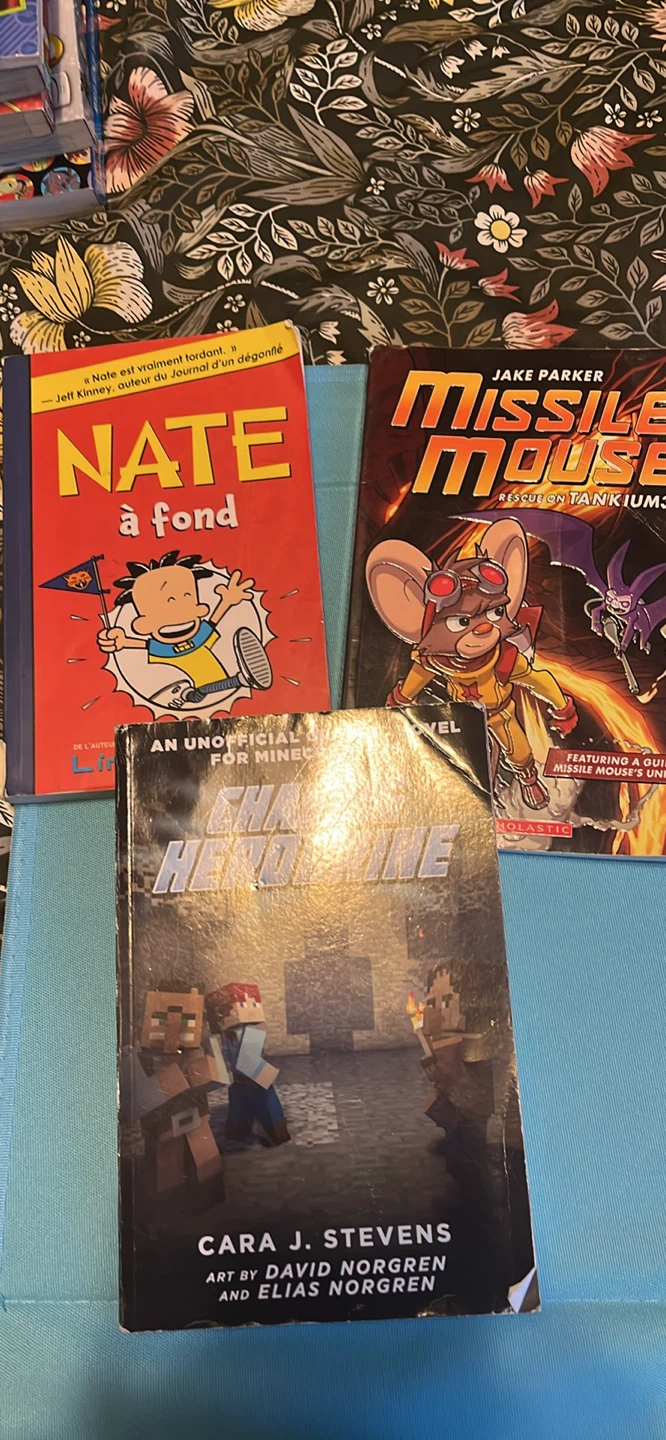 Assorted Children's Books Collection