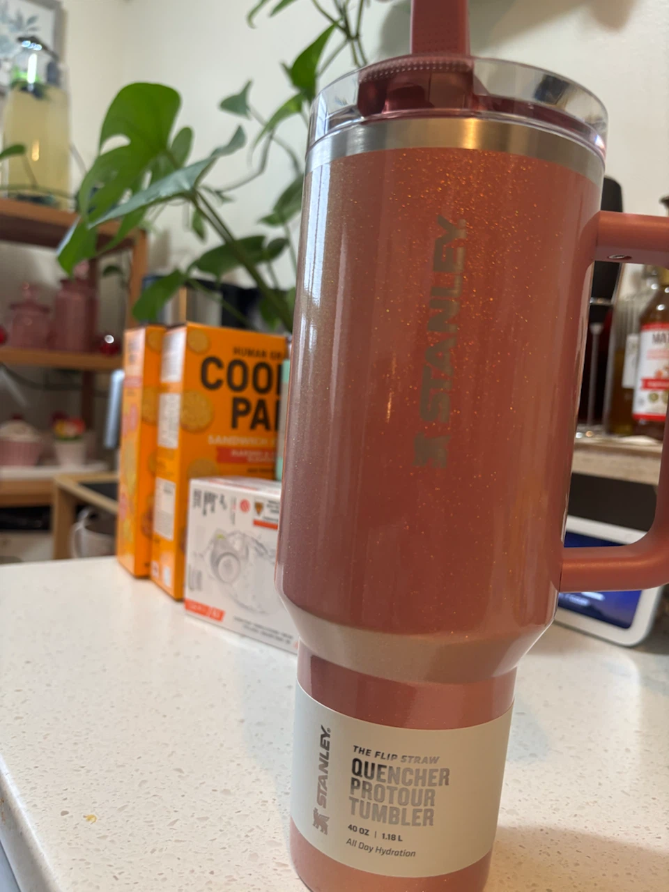 Stanley Quencher Pro Tour Tumbler 40oz