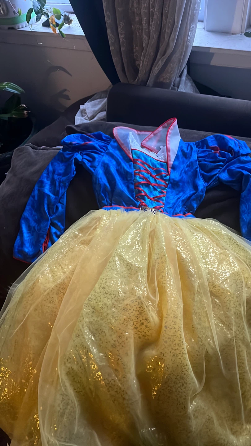 Disney Snow White Costume