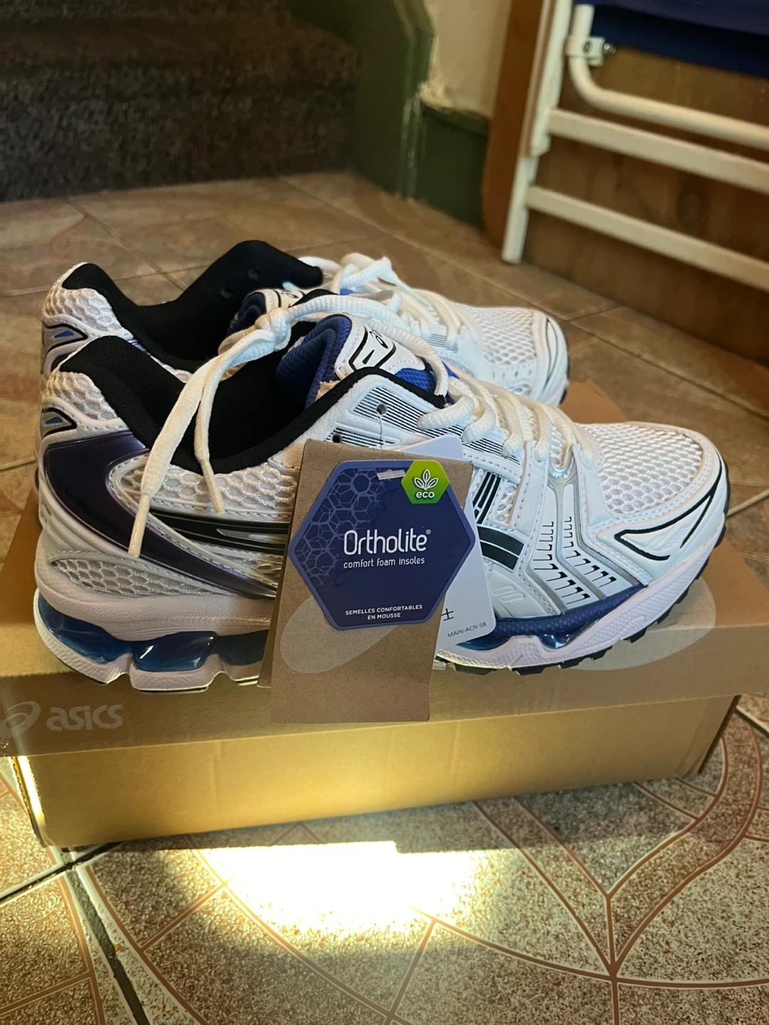 Asics Running Shoes