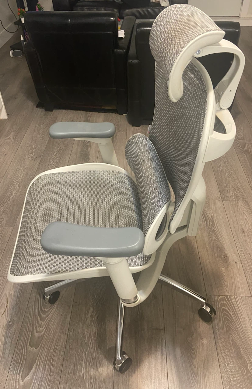 Ergonomic Office Chair with Mesh Back