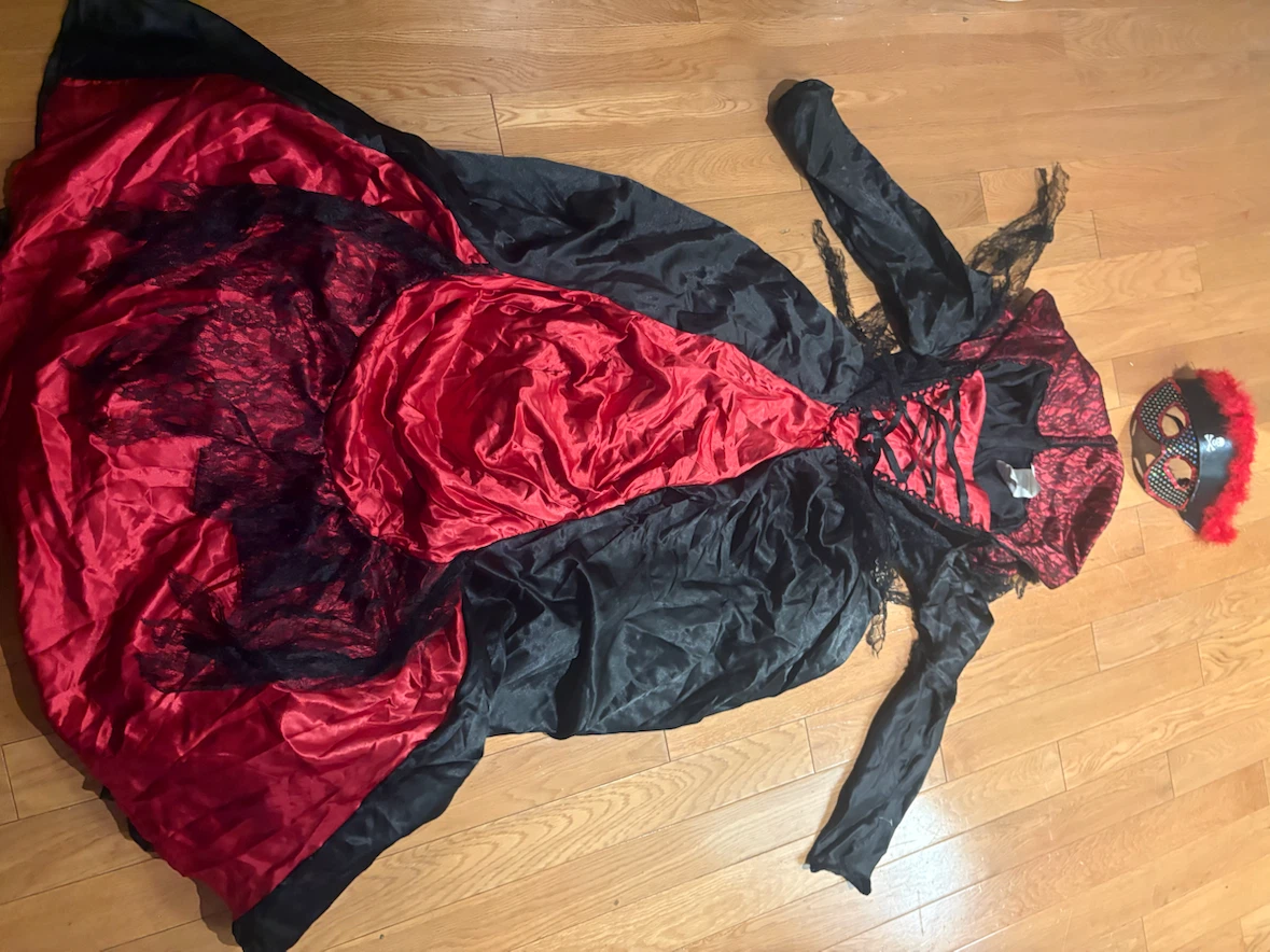 Rubie's Pirate Queen Costume