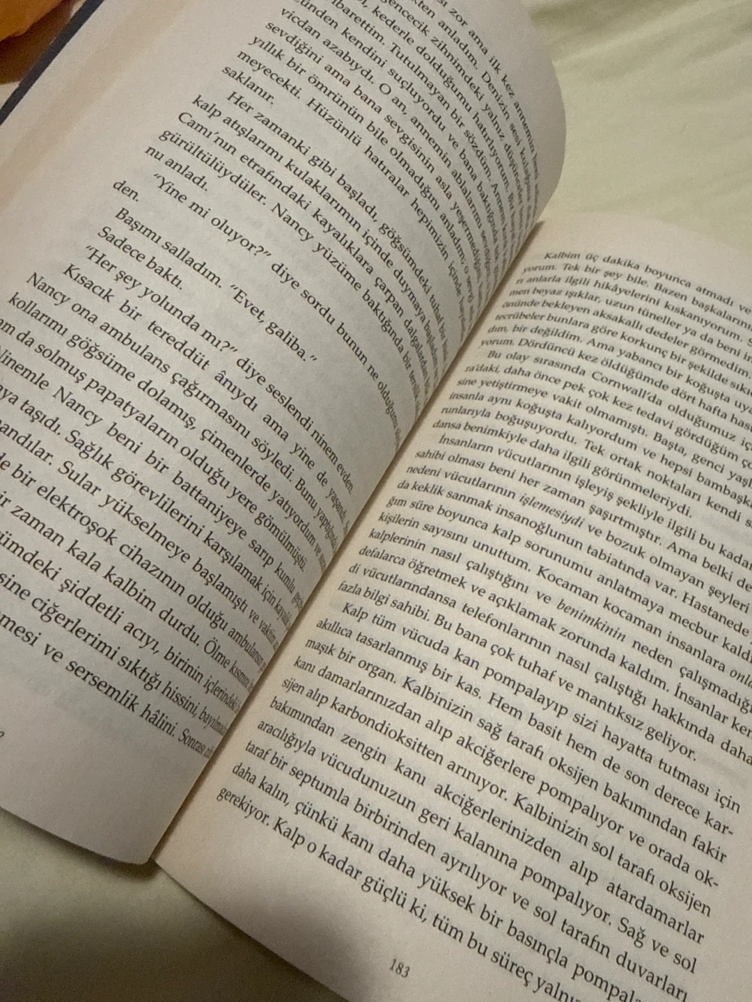 Turkish book- Daisy Darker by Alice Feeney - photo 2