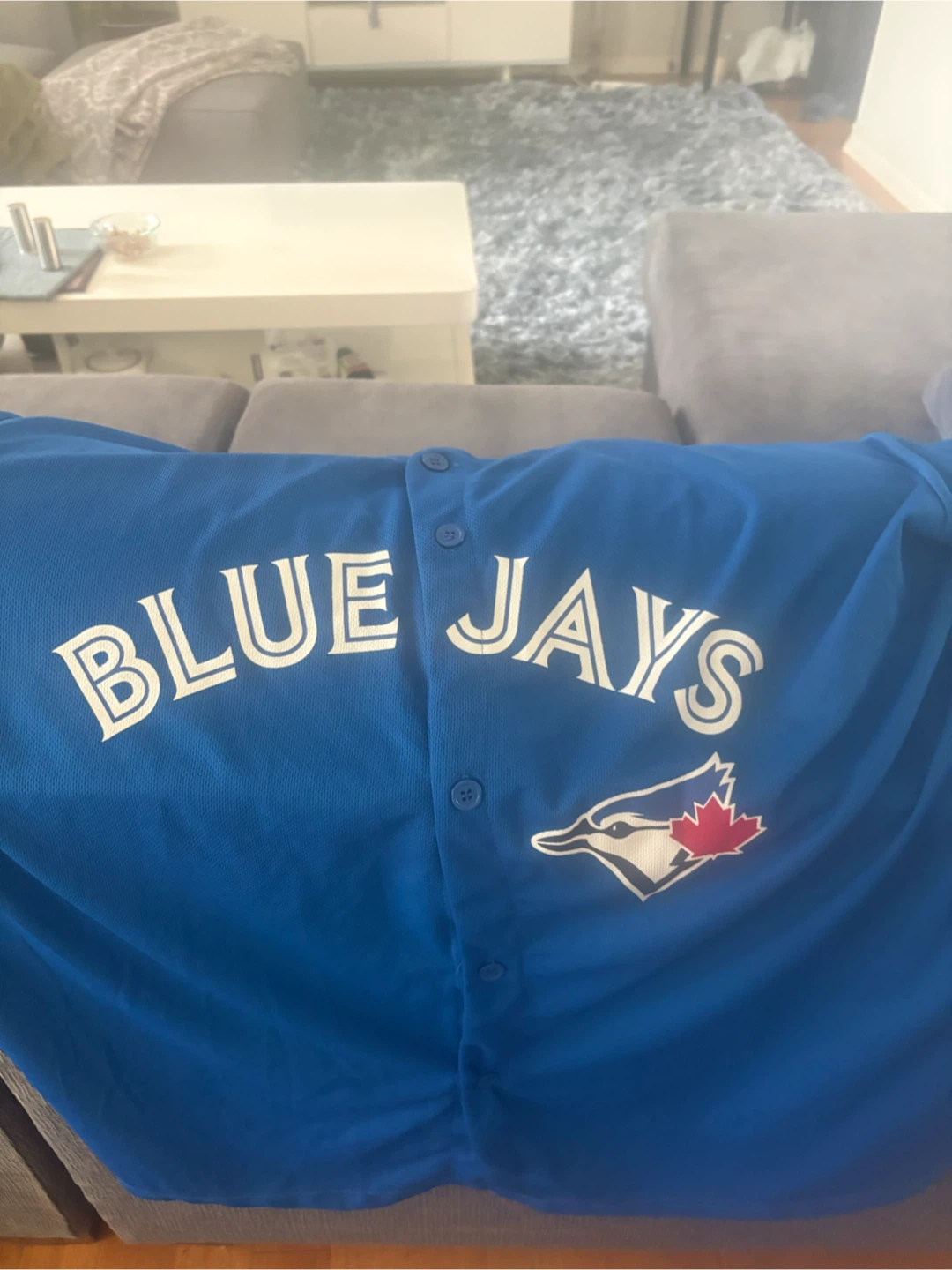 Toronto Blue Jays Grichuk 15 Jersey