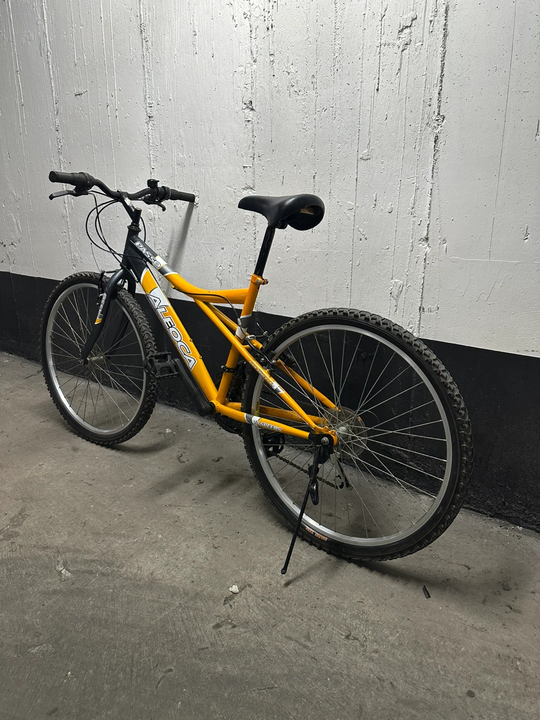 Aleoca Passo 18-Speed Mountain Bike