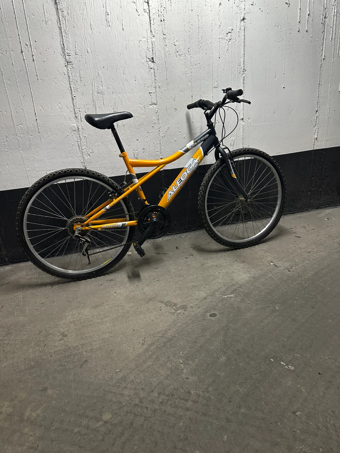 Aleoca Passo 18-Speed Mountain Bike - photo 2