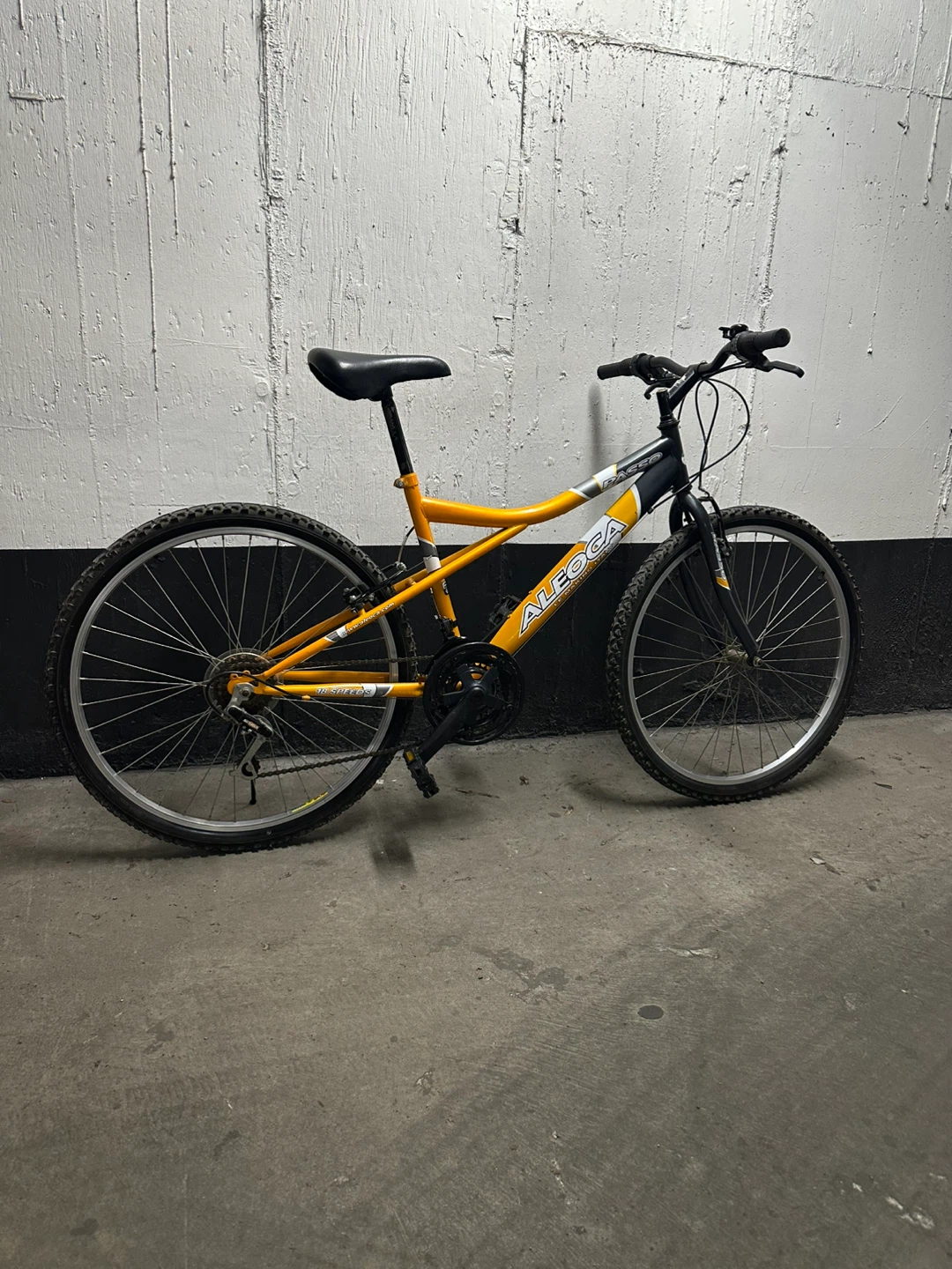 Aleoca Passo 18-Speed Mountain Bike - photo 3