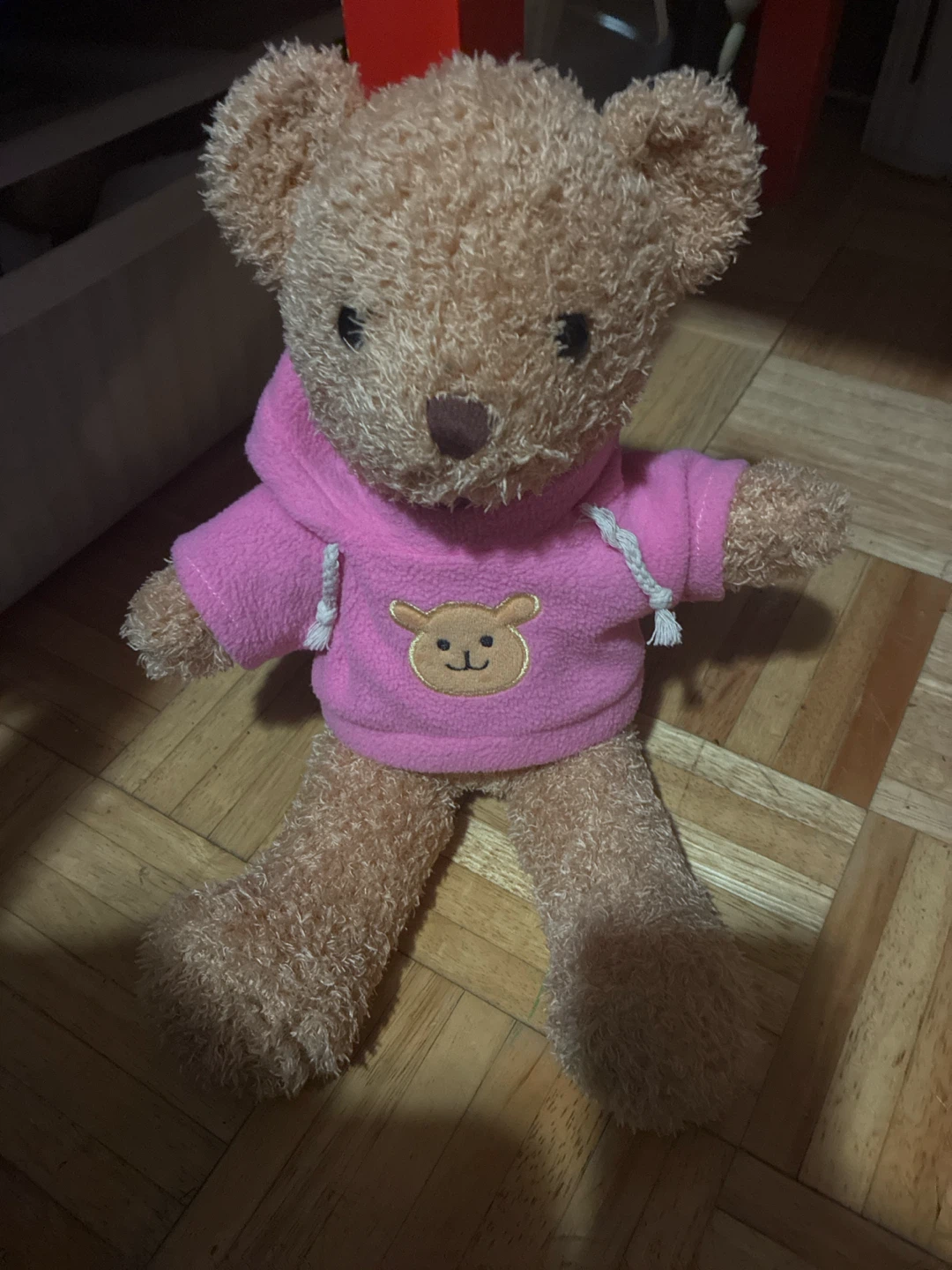 Tan Teddy Bear with Pink Hoodie