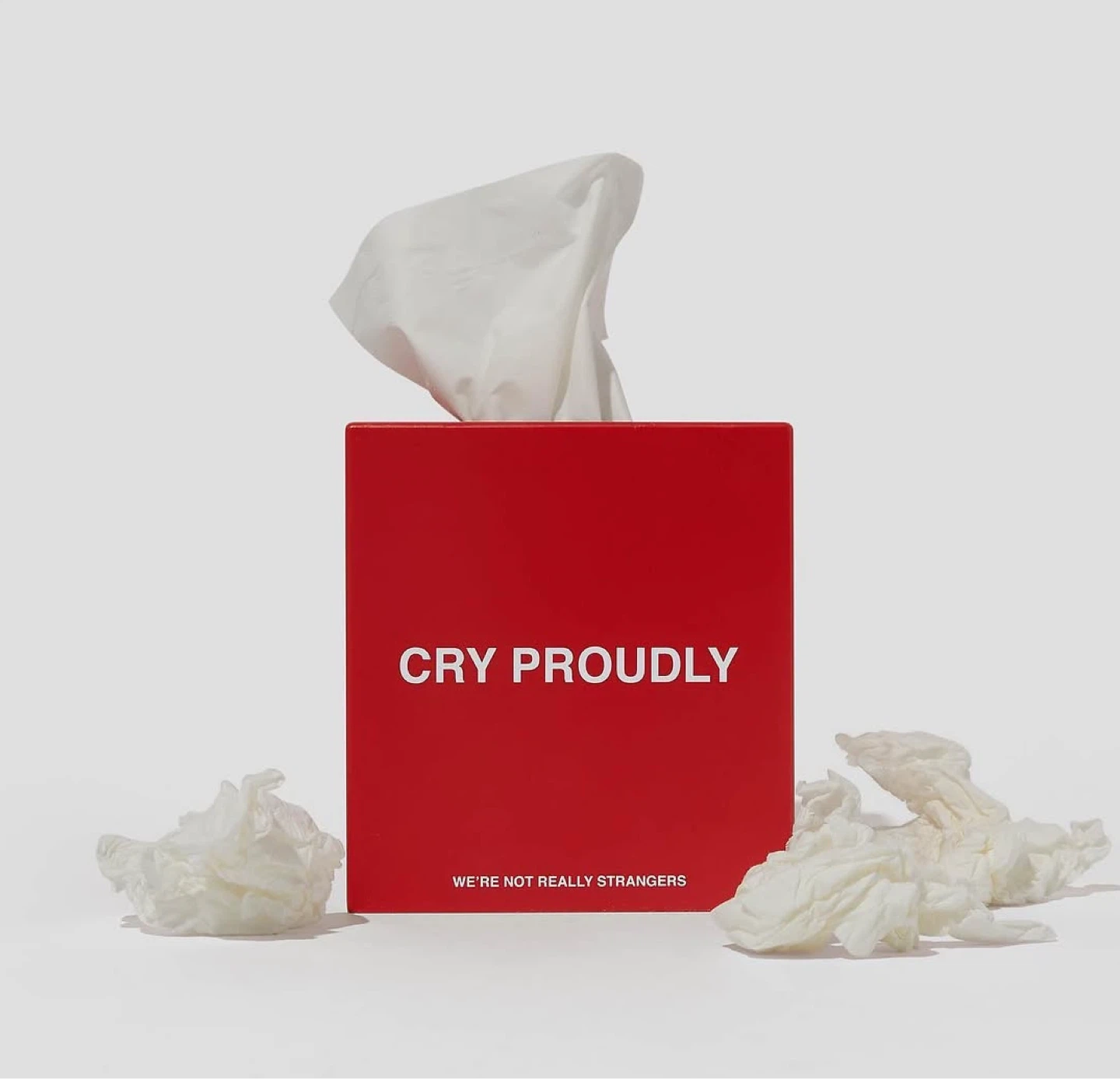 We're Not Really Strangers Tissue Box Cover