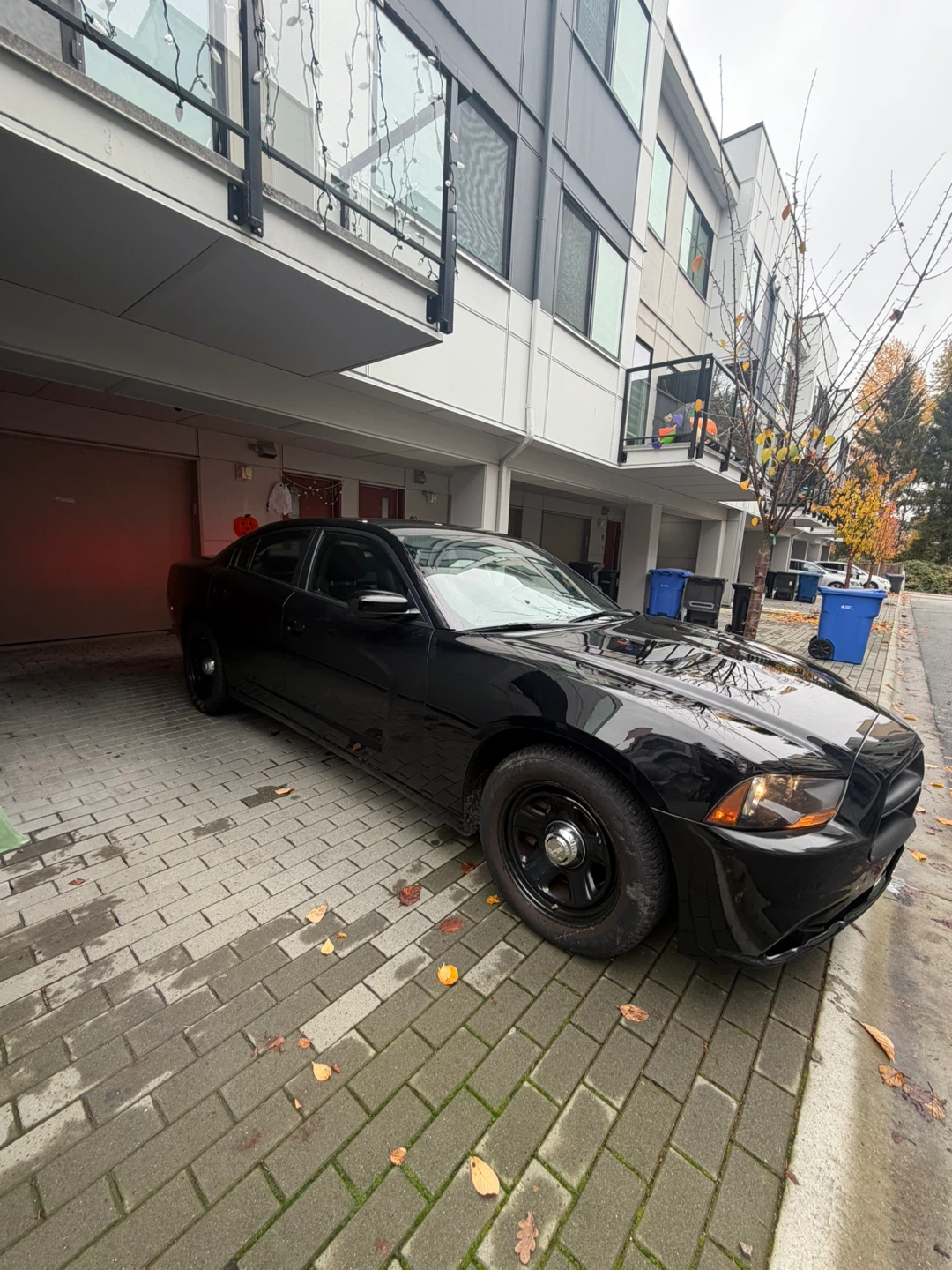 Dodge Charger Pursuit Sedan - photo 3