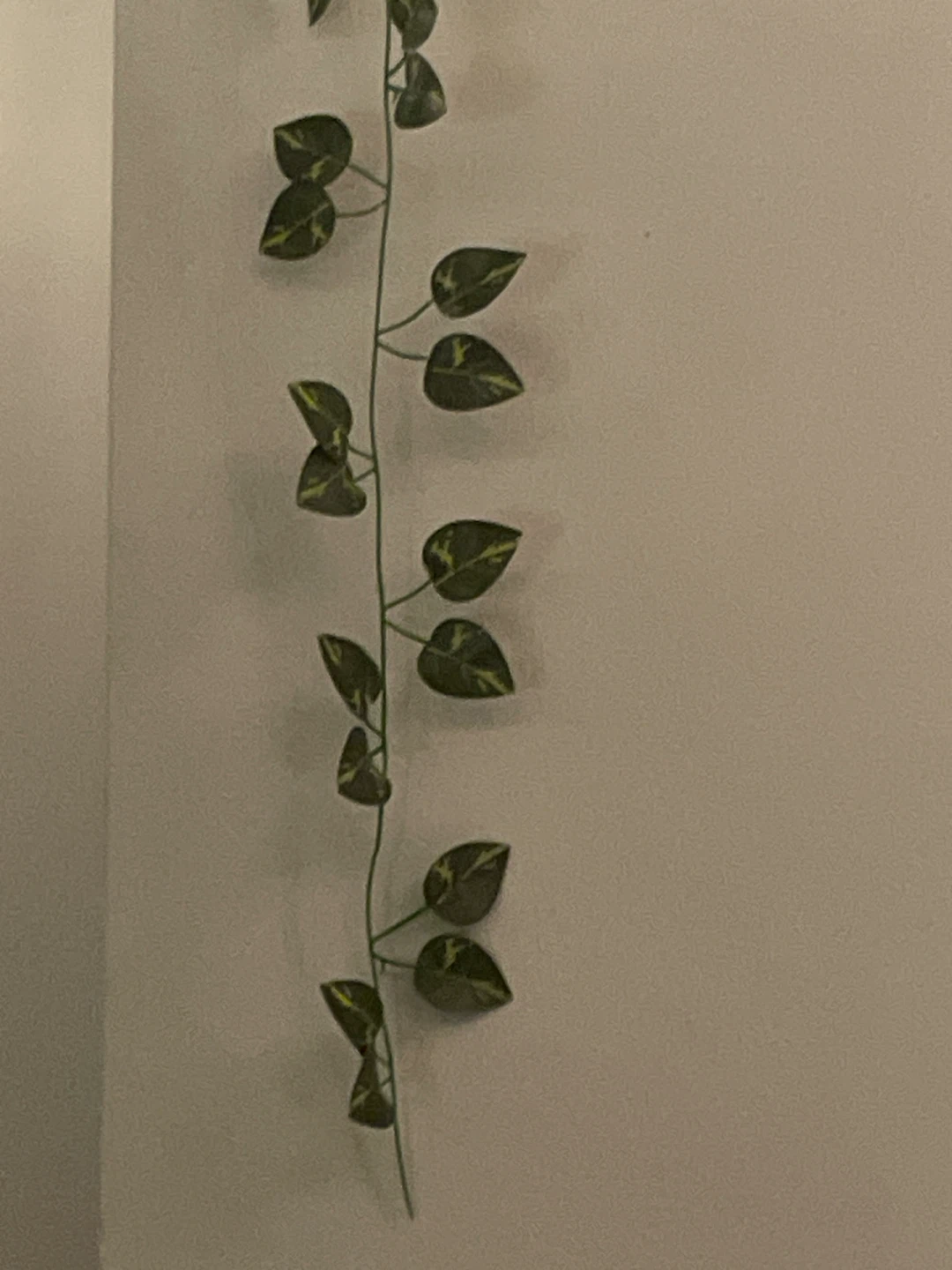 Artificial Pothos Leaf Vine