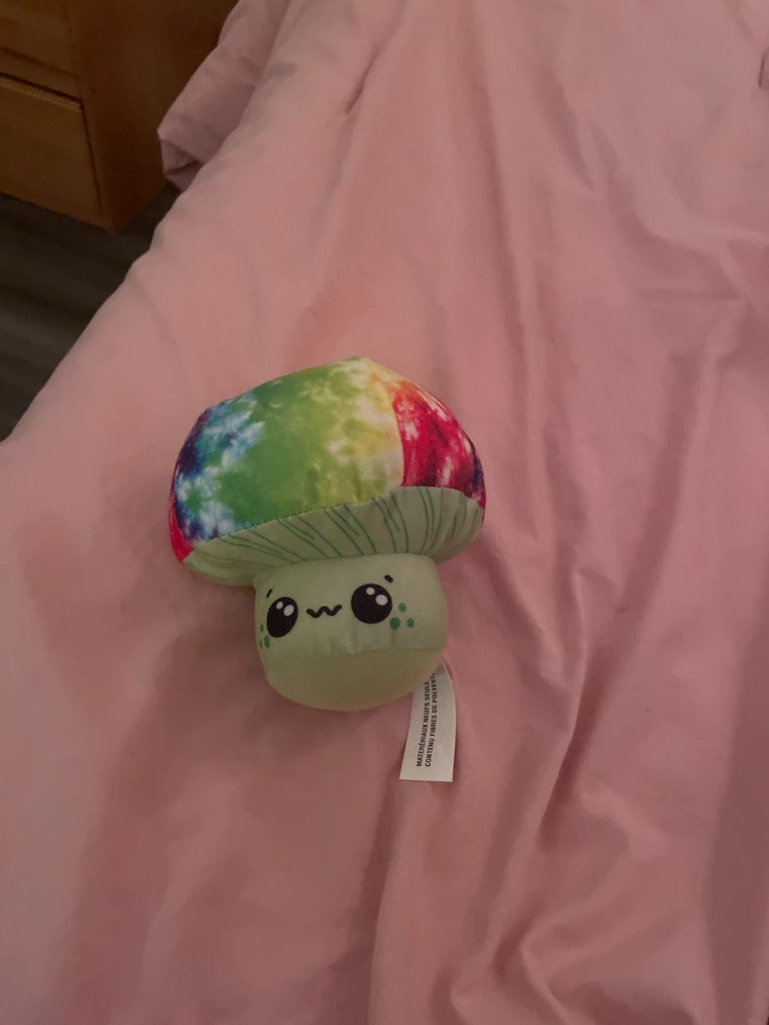 Tie-dye Mushroom Plushie
