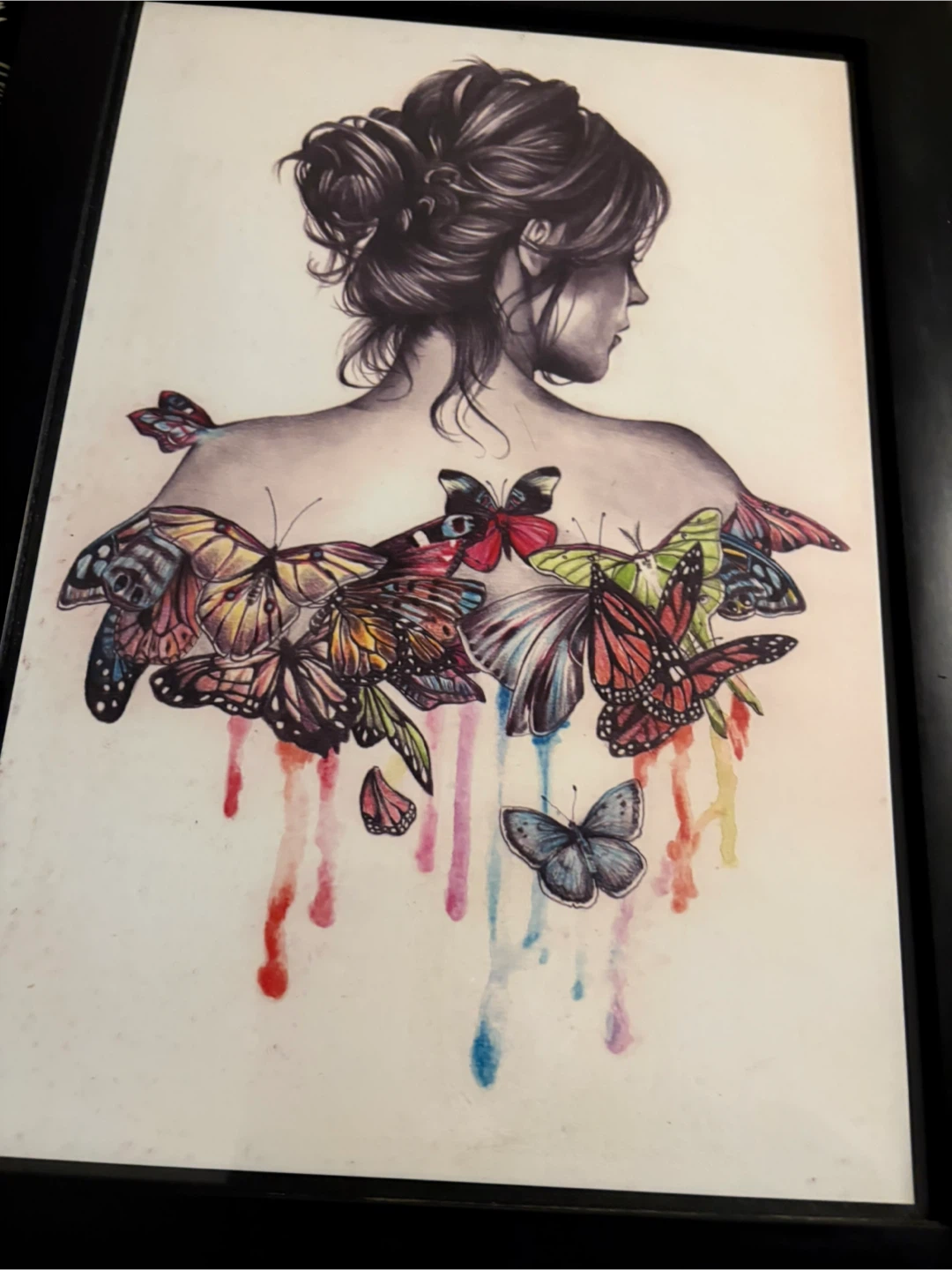 Beautiful butterflies picture