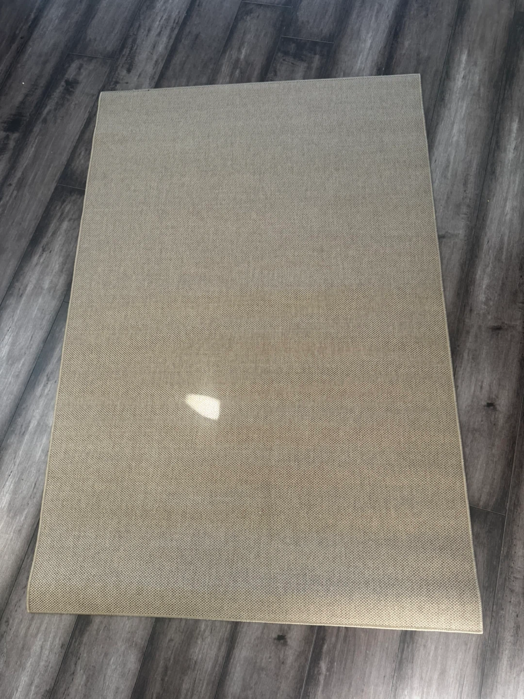 Beige Textured Area Rug - photo 2