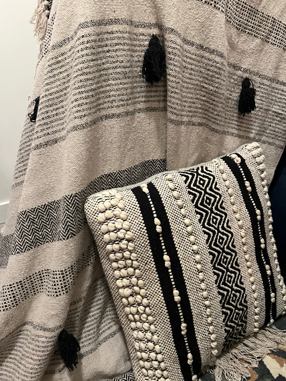 Textured Throw Blanket and Cushion