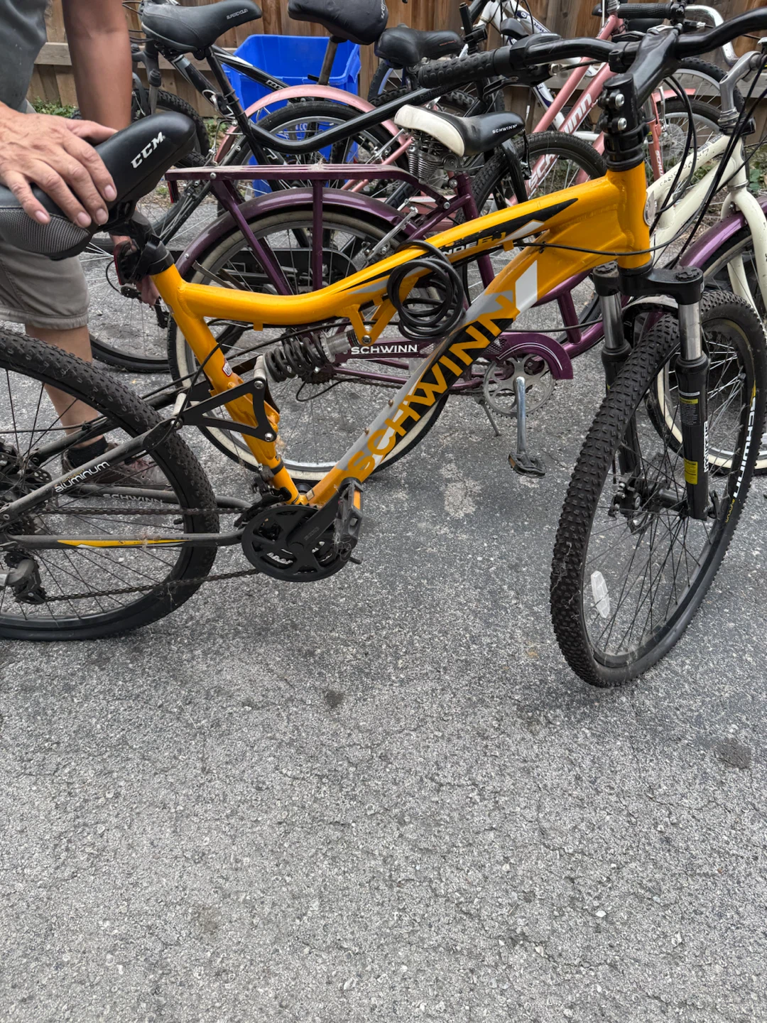 Schwinn Sanctuary Cruiser Bicycle - photo 5