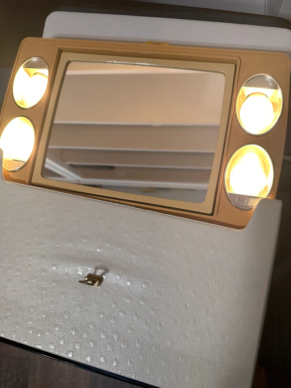 Vintage Mirror & Lights Lighted Makeup Case