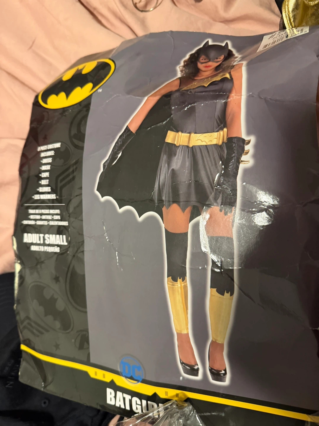 Batgirl Adult Small Costume