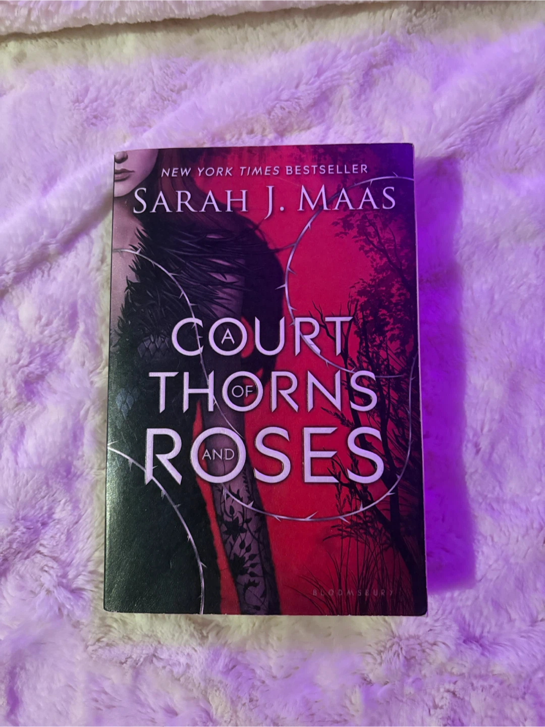 ACOTAR Book 1 Original Cover