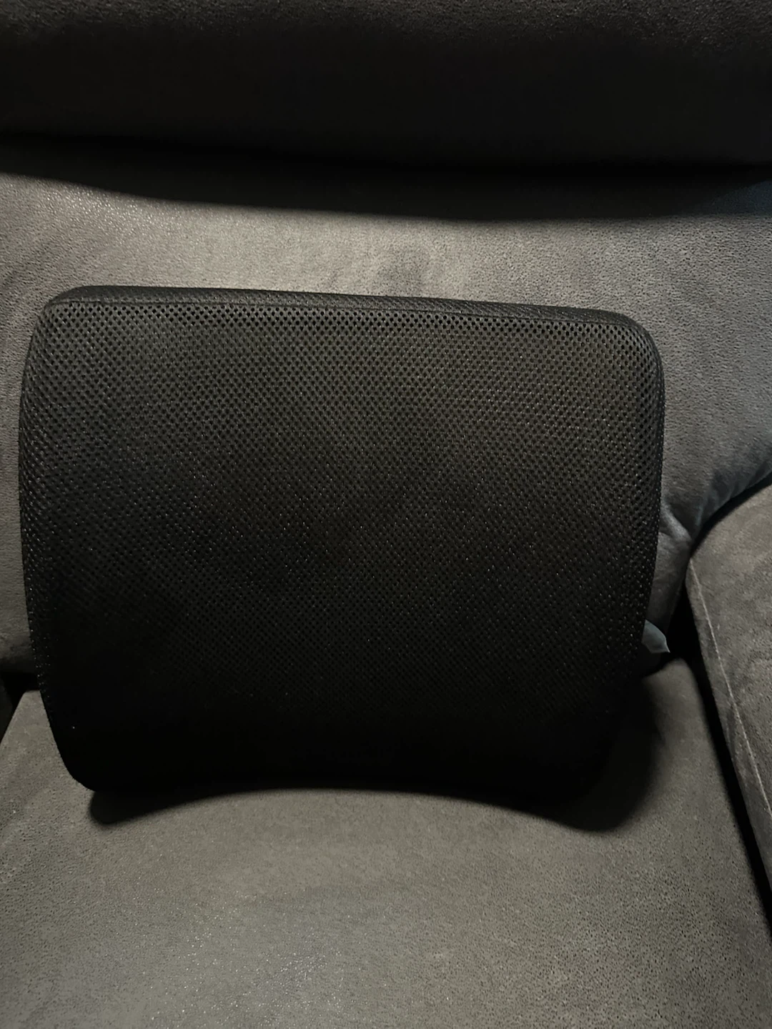 Samsonite Lumbar Support Pillow