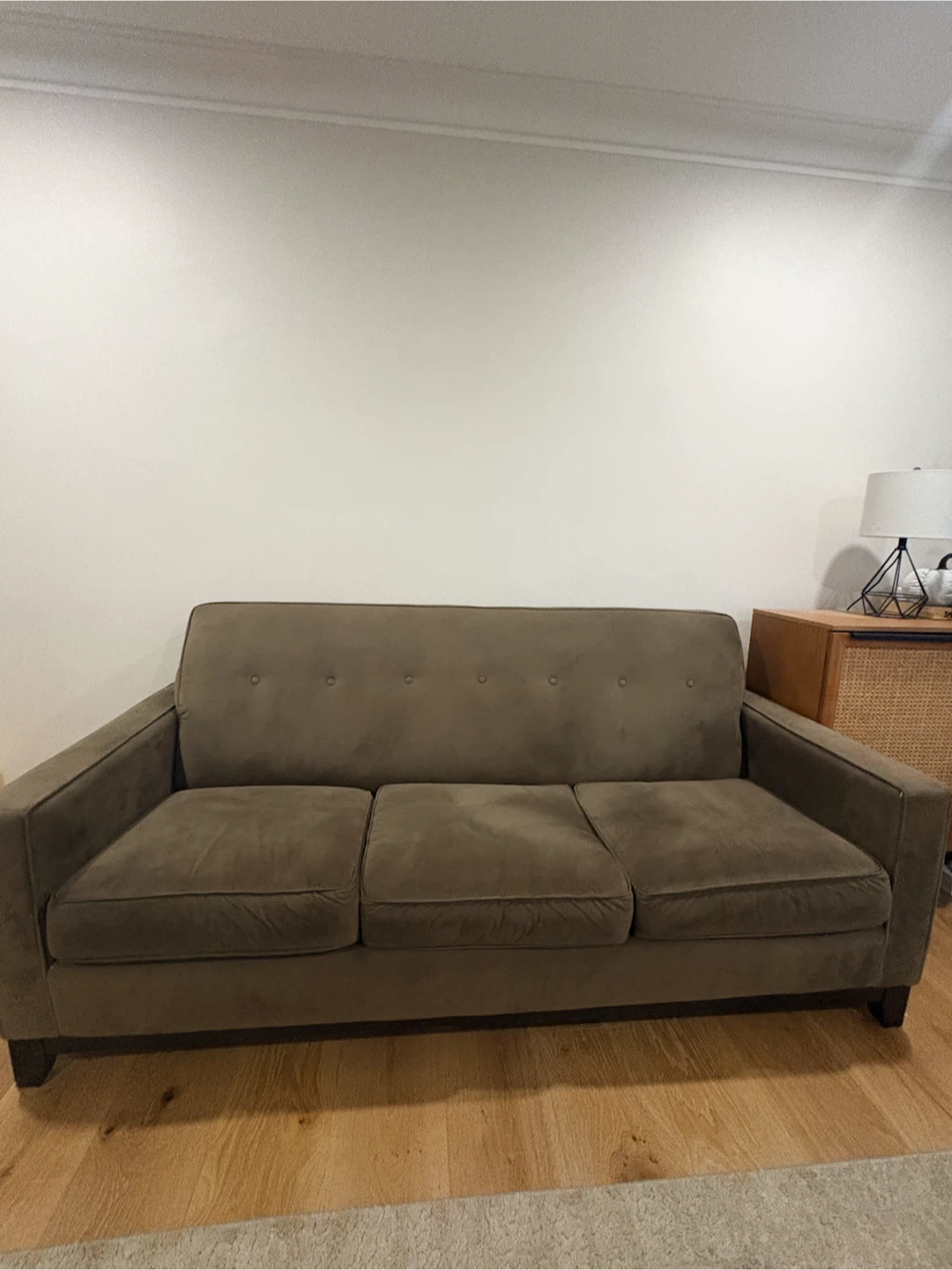 Free Couch and Love Seat