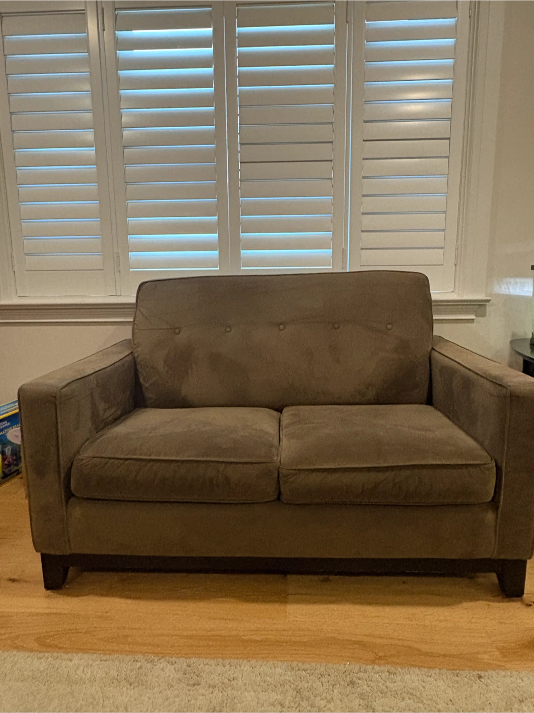 Free Couch and Love Seat - photo 2