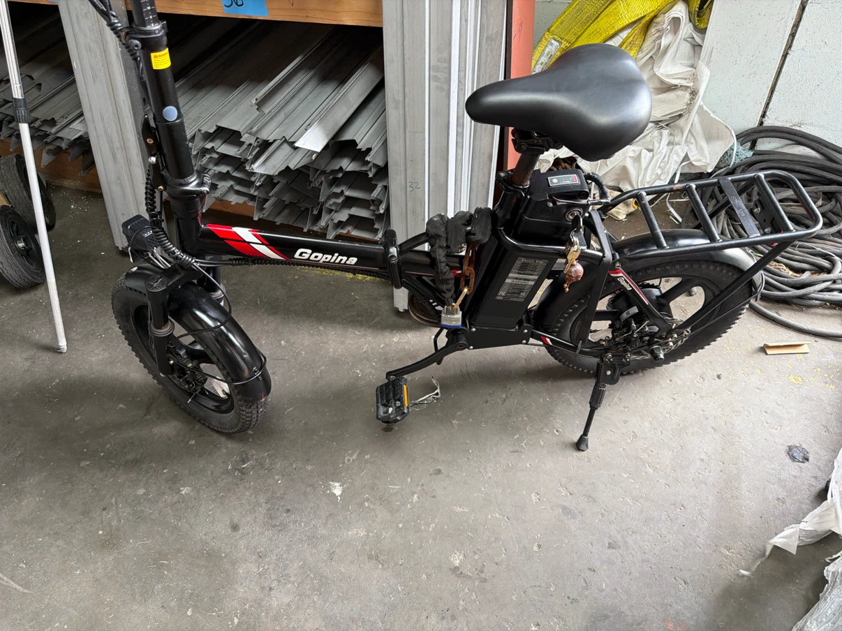 Gopina Folding Electric Bike