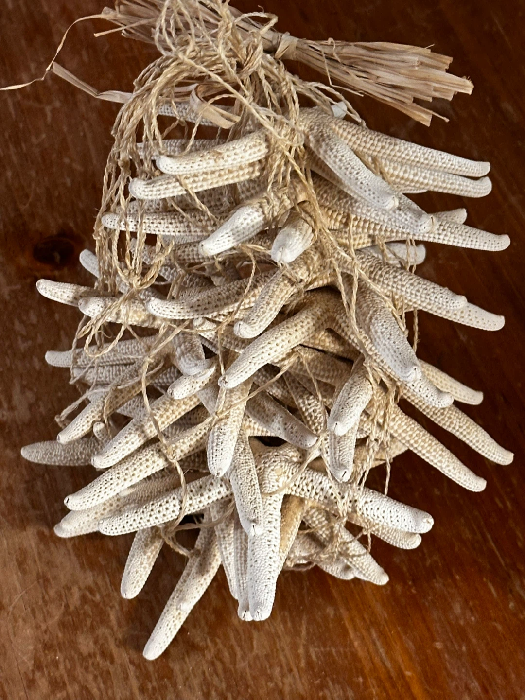 Coastal Collection Starfish Decor
