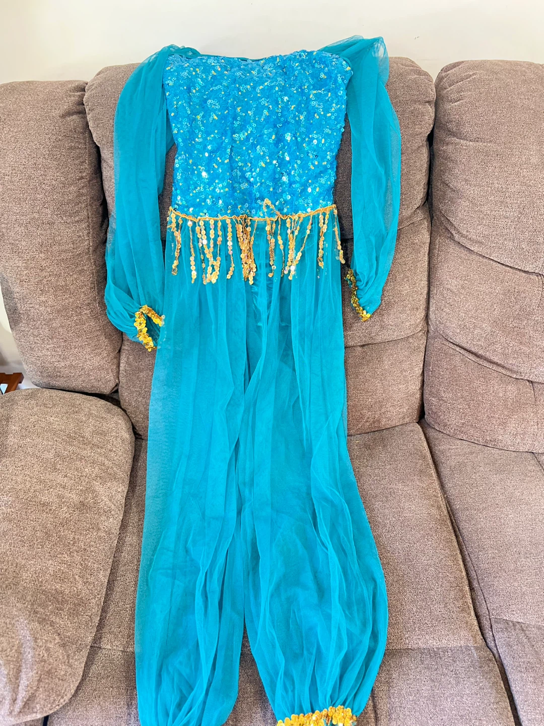 Sequin Jasmine Costume - photo 2