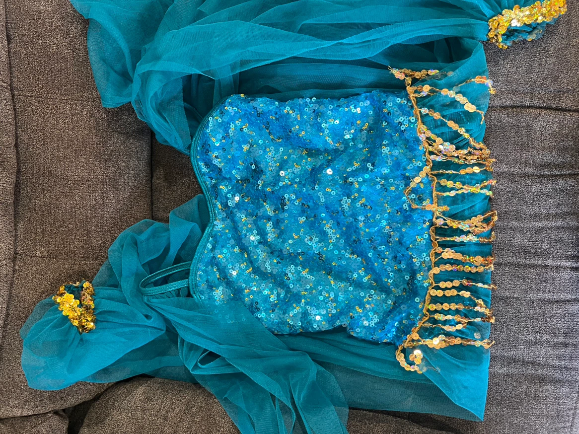Sequin Jasmine Costume - photo 3