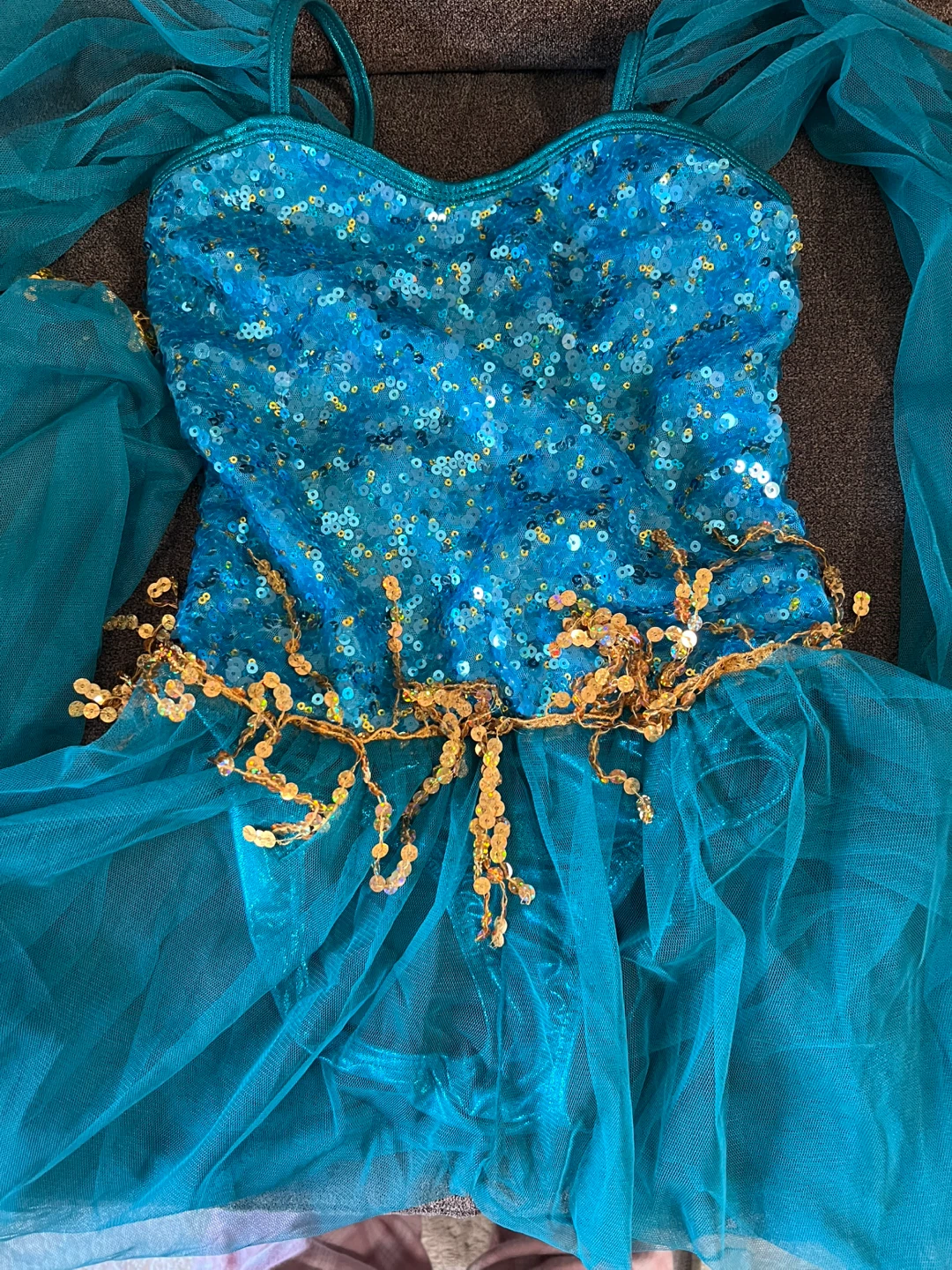Sequin Jasmine Costume - photo 5