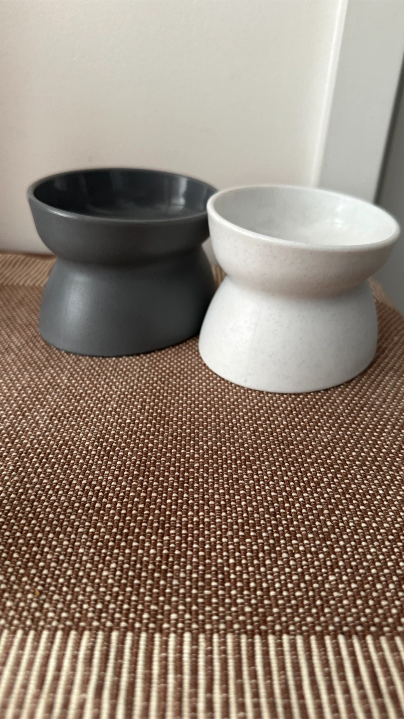 Set of Two Elevated Pet Bowls