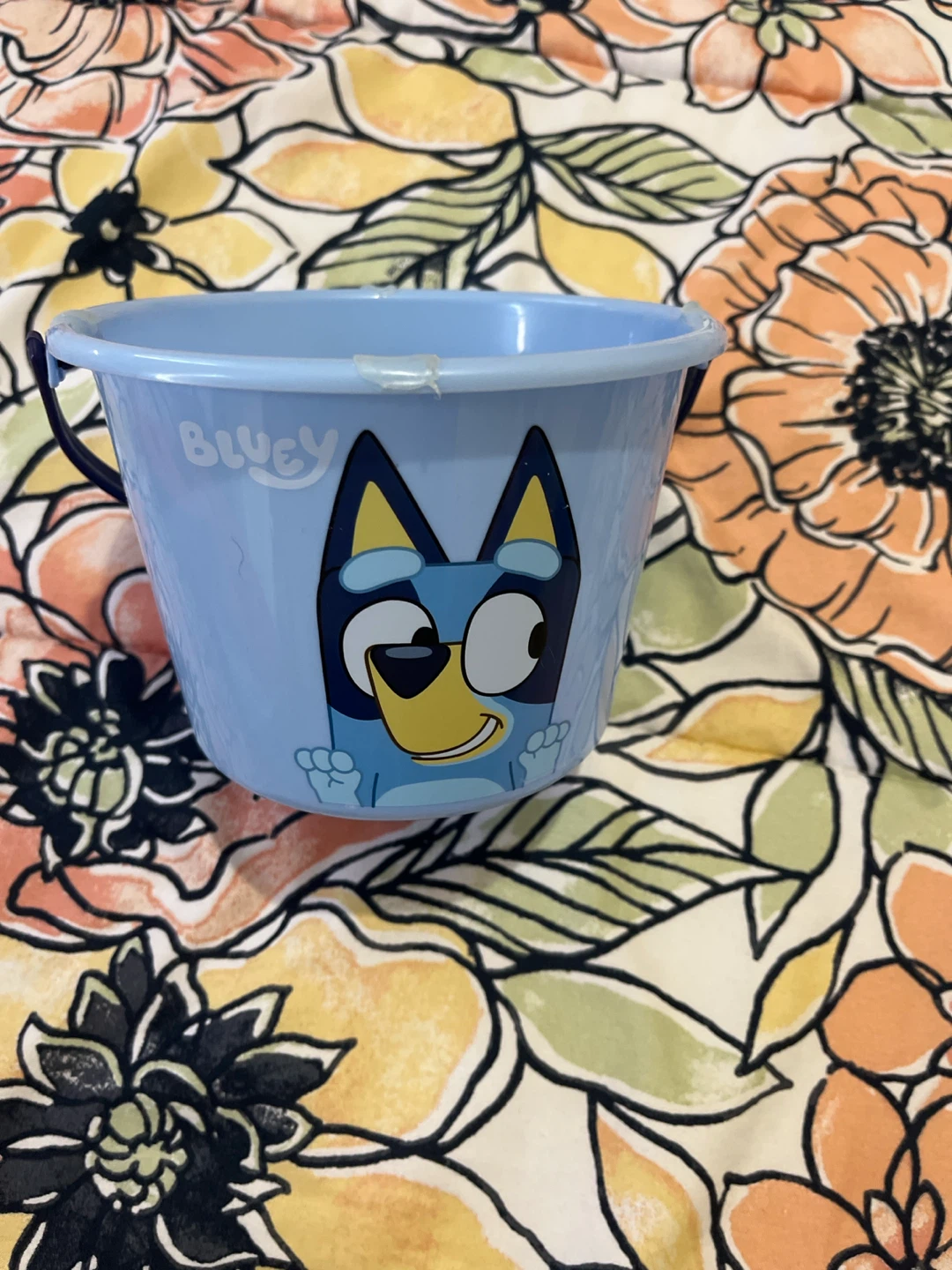 Bluey Plastic Small Bucket