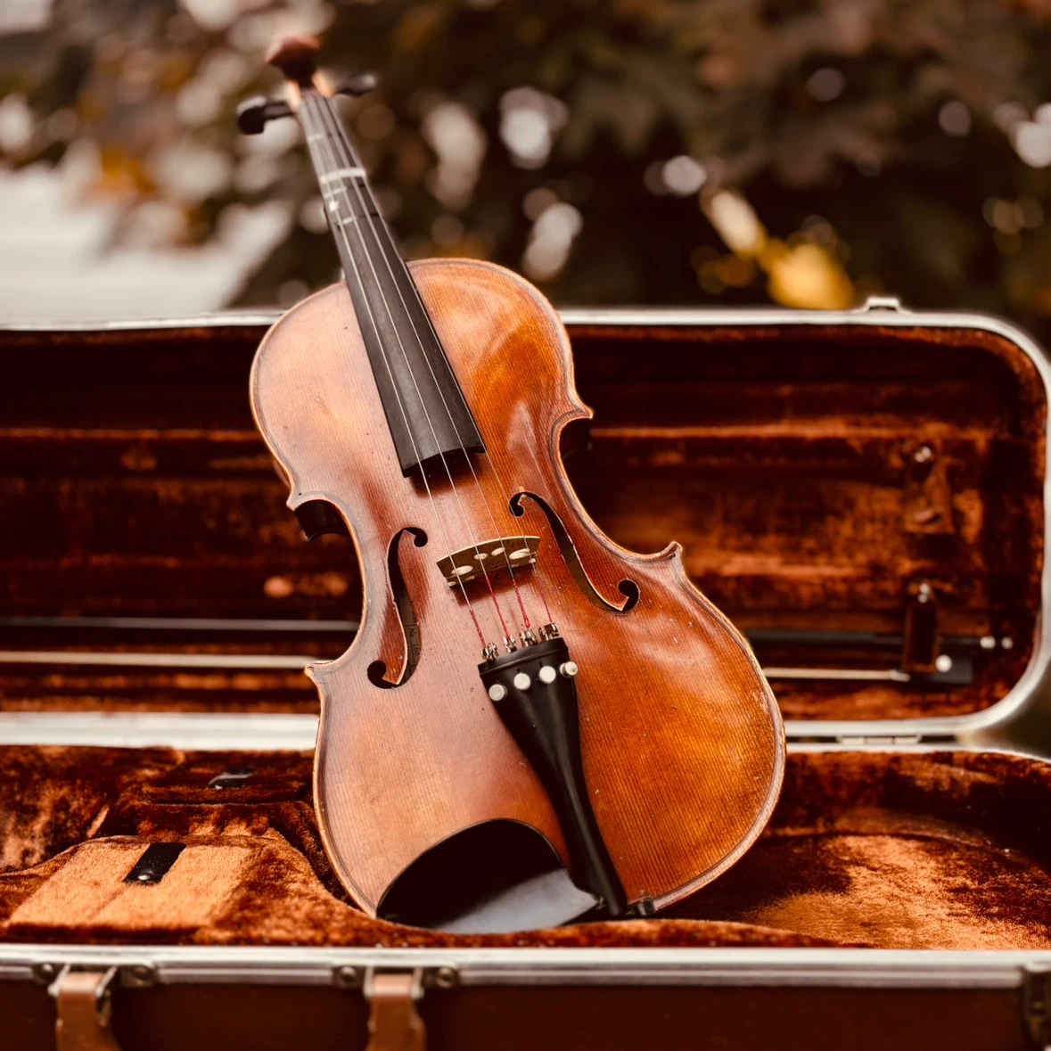 Acoustic Violin with Hard Case and Rosin