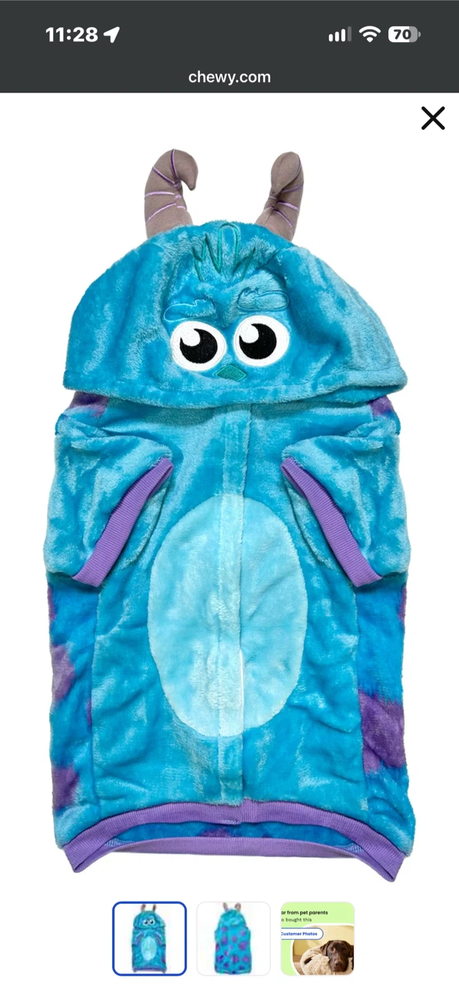 Disney Pixar Sulley Pet Costume