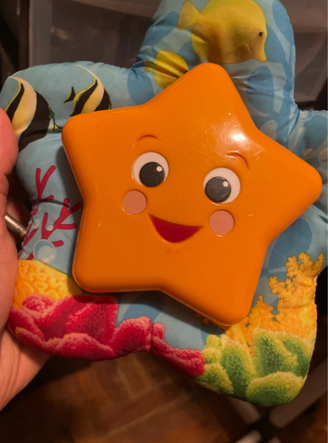 Baby Einstein Star Bright Symphony Plush Musical Toy