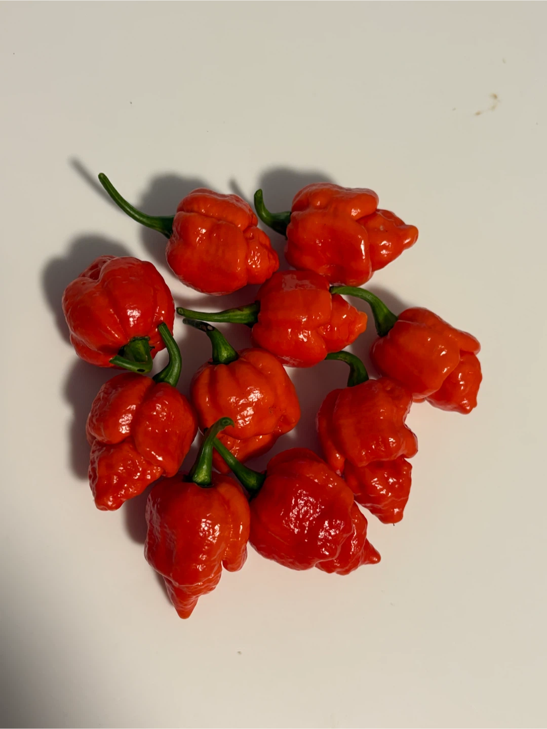 10 Carolina Reaper peppers