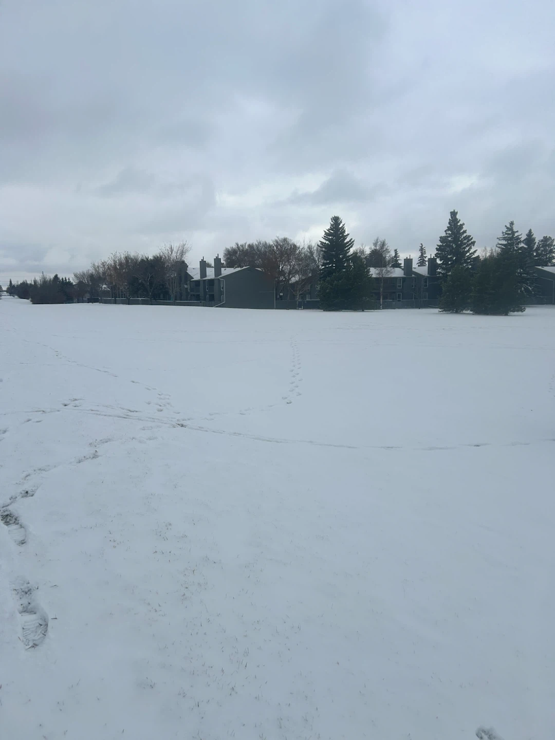 Snow shovelling