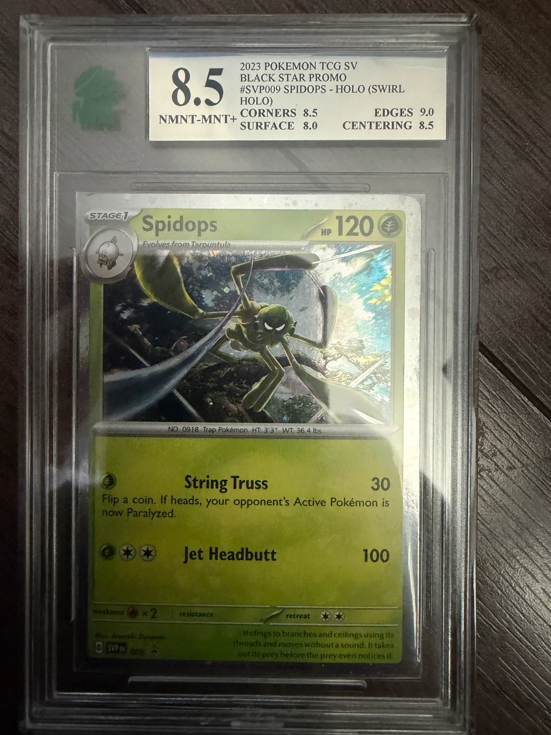 2023 Pokemon TCG SV Spidops Black Star Promo #SVP009