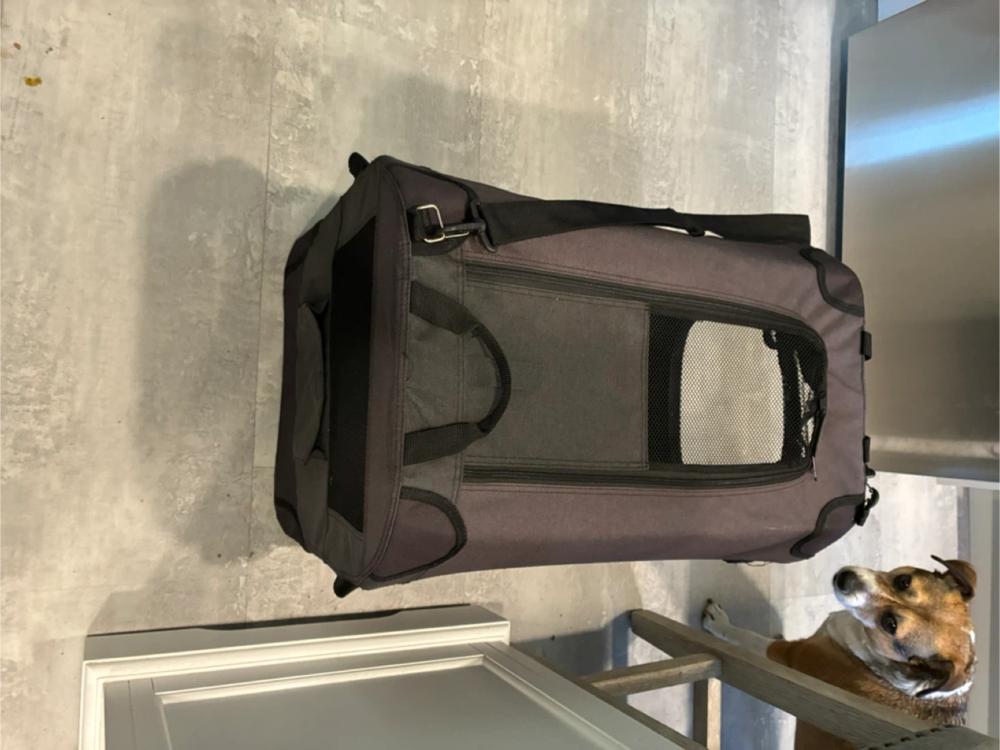 Veehoo Soft-Sided Pet Carrier