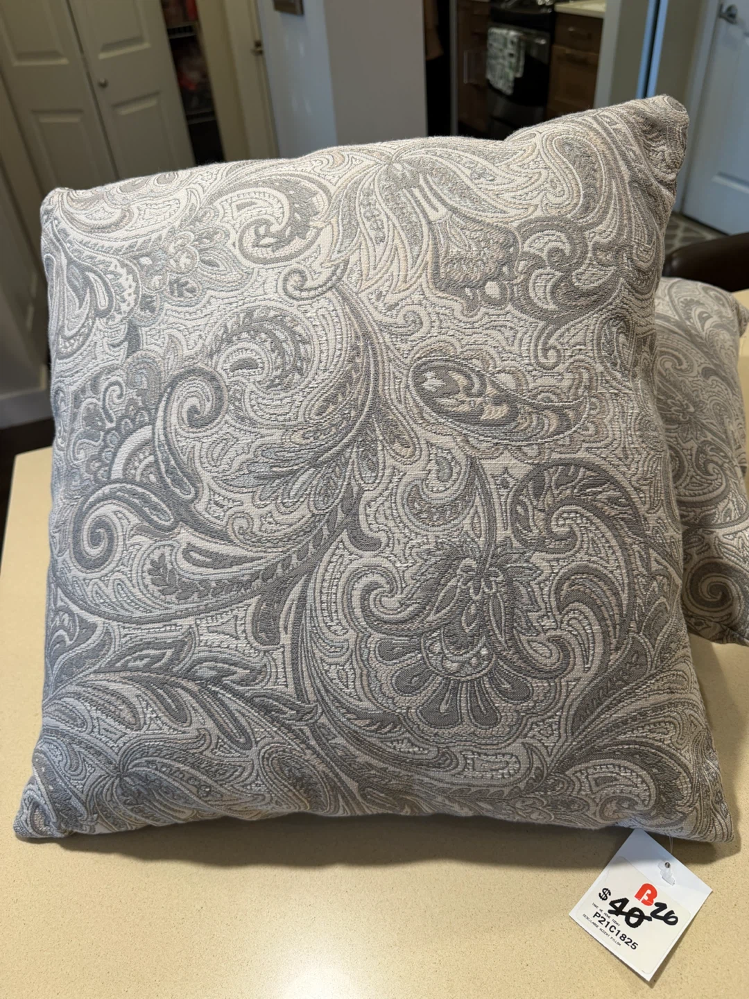 Set of 2 Grey Paisley Decorative Accent Pillows - photo 4
