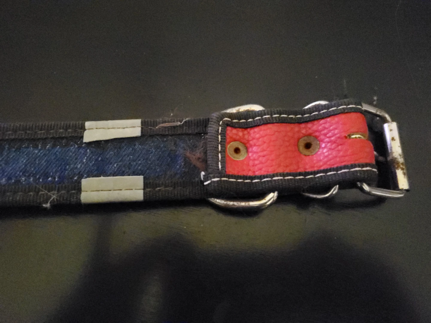 Dog collar with red and patterned design - photo 3