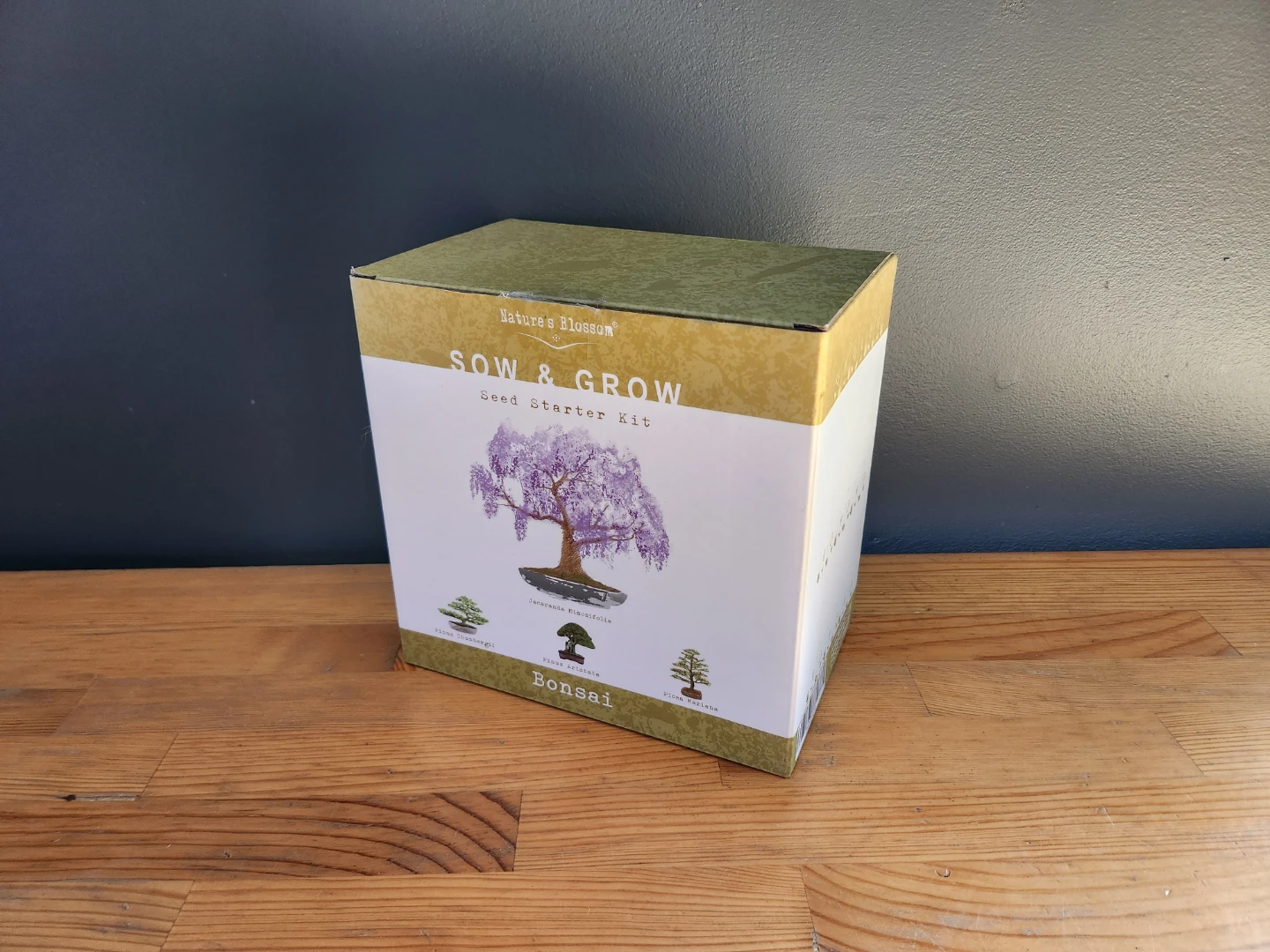 Bonsai Seed Starter Kit Nature's Blossom Sow & Grow (Open box)