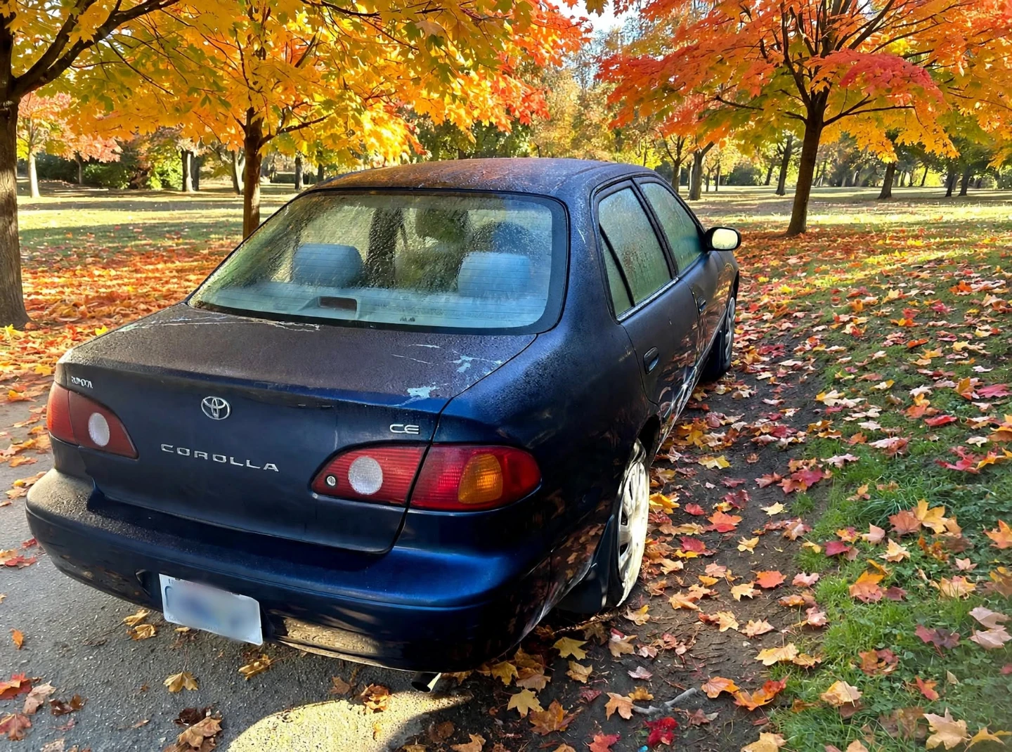 2002 Toyota Corollaq - photo 4