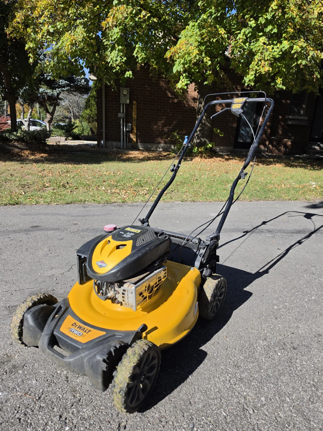 DeWalt RWD Lawn Mower with 190cc Briggs & Stratton Engine - photo 2