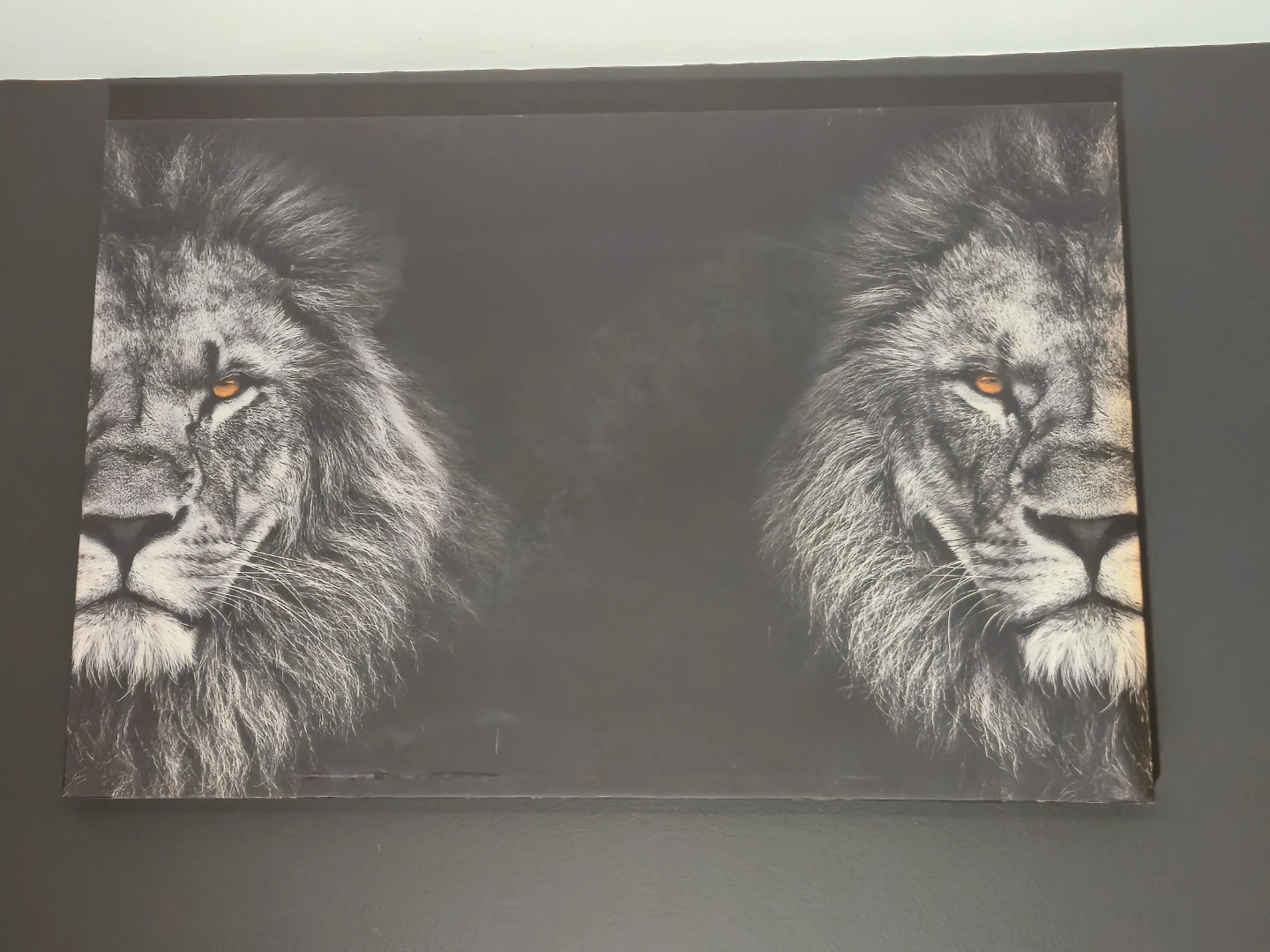 Black & White Double Lion Canvas Wall Art 36" x 24 - photo 5